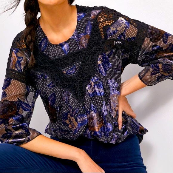 Anthropologie Daniel Rainn Burnout Velvet Blouse - Picture 1 of 8